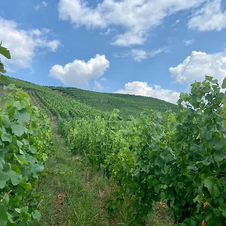 Zur Alten Schmiede *