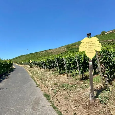 Daire Zur Alten Schmiede *