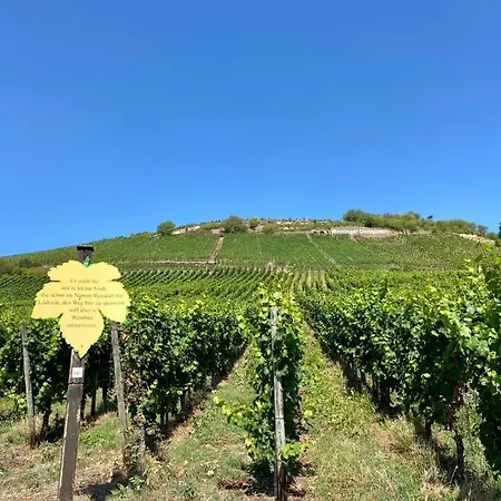 Daire Zur Alten Schmiede Winningen