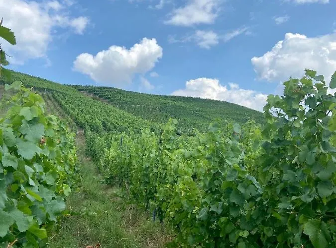 Zur Alten Schmiede *