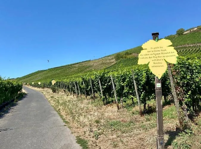 Διαμέρισμα Zur Alten Schmiede *