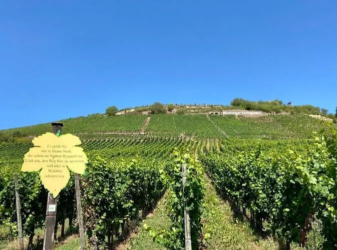 Διαμέρισμα Zur Alten Schmiede Winningen